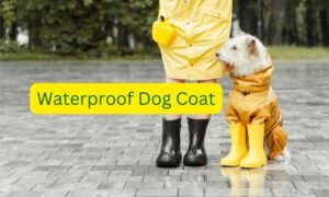 Waterproof Dog Coat