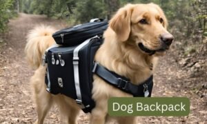 dog backpack