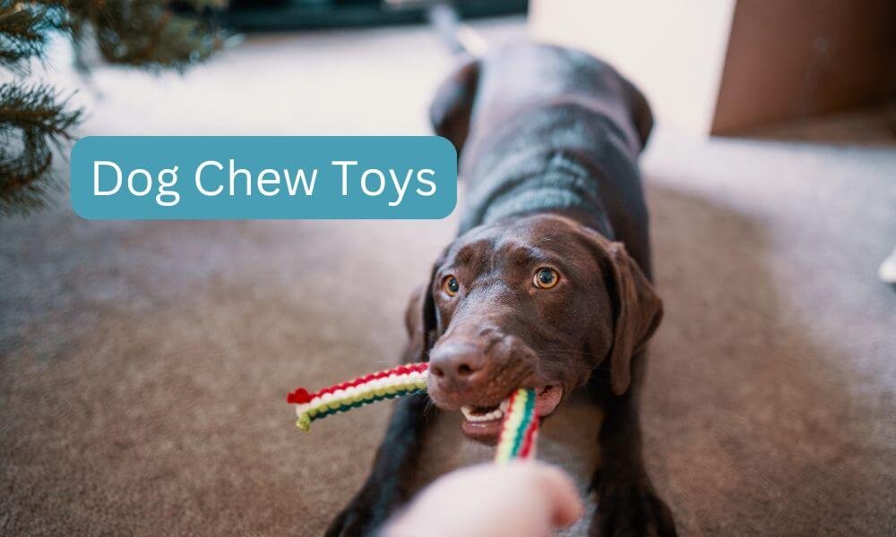 dog chew toys