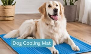 dog cooling mat