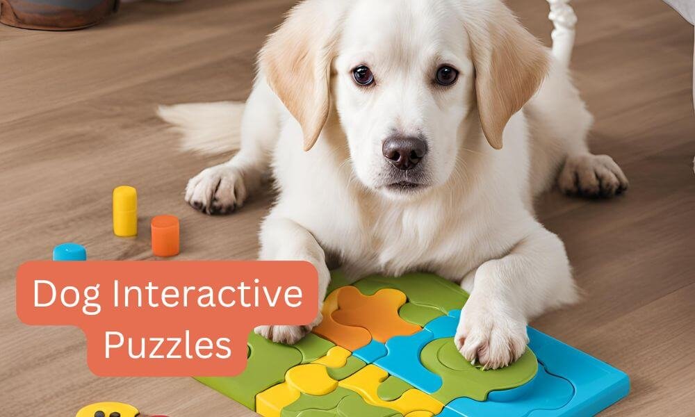 dog interactive puzzles