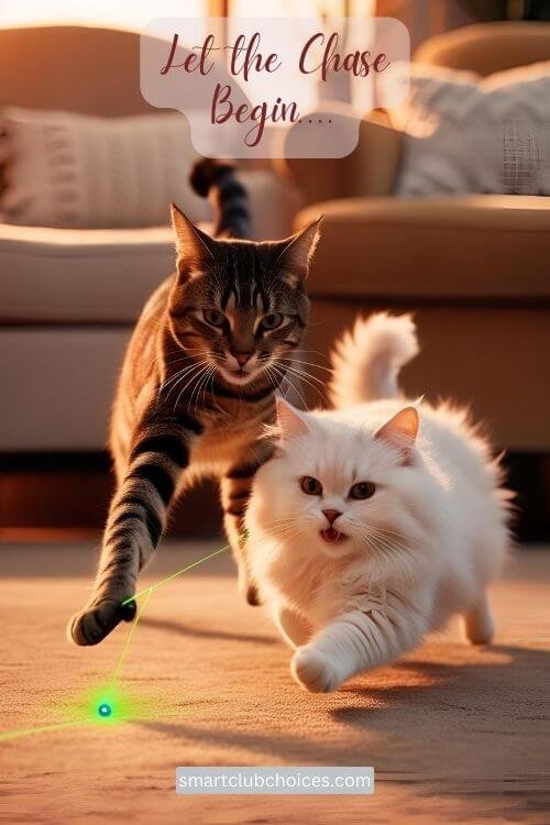 Cats chasing a laser dot